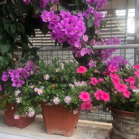 Apartmani Josipa Šibenik Buitenkant foto